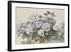 Hydrangeas-Madeleine Lemaire-Framed Art Print