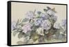 Hydrangeas-Madeleine Lemaire-Framed Stretched Canvas