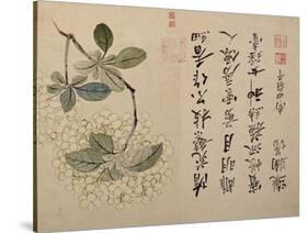Hydrangeas-Yun Shouping-Stretched Canvas