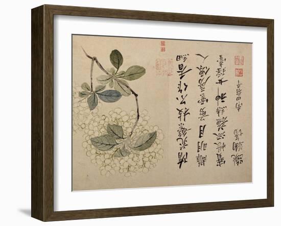 Hydrangeas-Yun Shouping-Framed Giclee Print