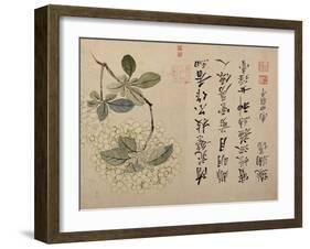 Hydrangeas-Yun Shouping-Framed Giclee Print