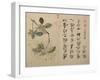 Hydrangeas-Yun Shouping-Framed Giclee Print