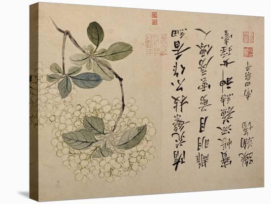 Hydrangeas-Yun Shouping-Stretched Canvas