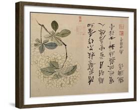 Hydrangeas-Yun Shouping-Framed Giclee Print