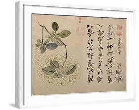 Hydrangeas-Yun Shouping-Framed Giclee Print