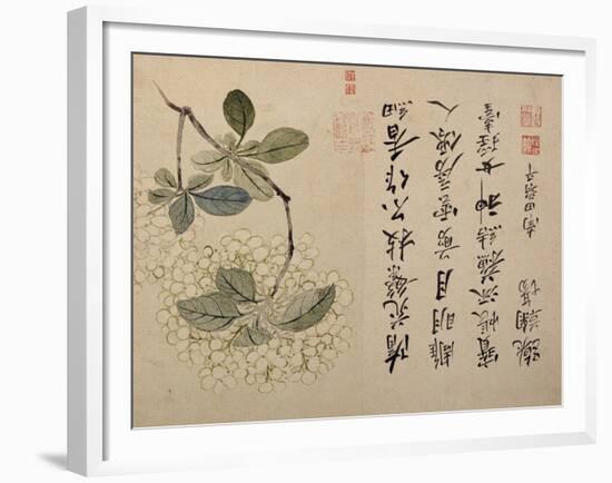 Hydrangeas-Yun Shouping-Framed Giclee Print