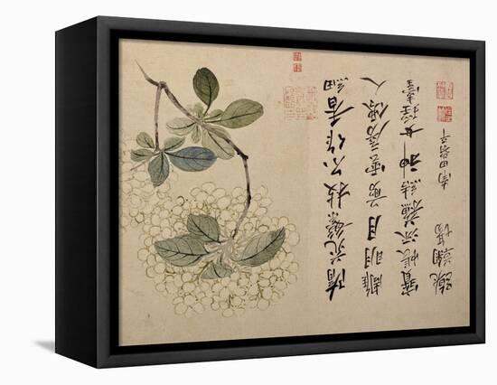 Hydrangeas-Yun Shouping-Framed Stretched Canvas