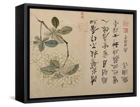 Hydrangeas-Yun Shouping-Framed Stretched Canvas