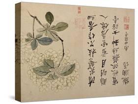 Hydrangeas-Yun Shouping-Stretched Canvas