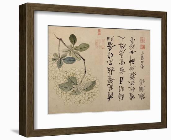 Hydrangeas-Yun Shouping-Framed Giclee Print