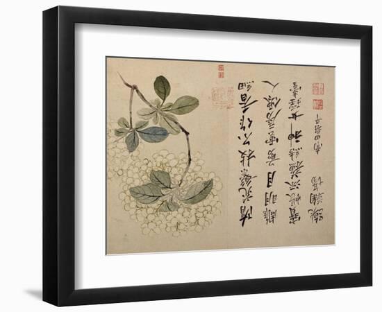 Hydrangeas-Yun Shouping-Framed Giclee Print