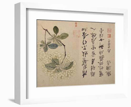 Hydrangeas-Yun Shouping-Framed Giclee Print