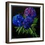 Hydrangeas-Pol Ledent-Framed Art Print