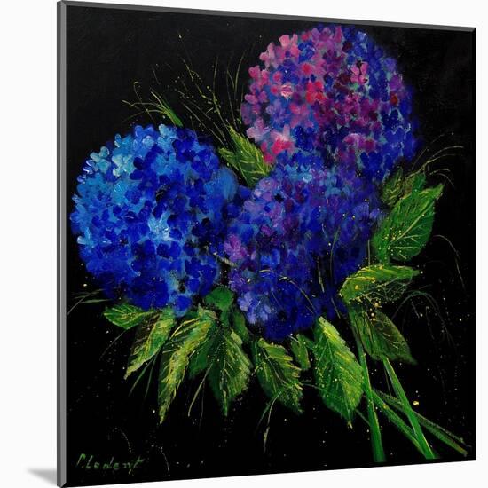 Hydrangeas-Pol Ledent-Mounted Art Print