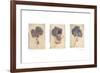 Hydrangeas-Amy Melious-Framed Art Print