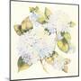 Hydrangeas-Kathleen Parr McKenna-Mounted Art Print