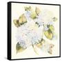 Hydrangeas-Kathleen Parr McKenna-Framed Stretched Canvas