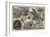 Hydraulic Gold-Mining in the Australian Alps-null-Framed Giclee Print