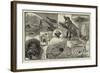 Hydraulic Gold-Mining in the Australian Alps-null-Framed Giclee Print