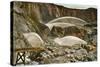 Hydraulic Mining-null-Stretched Canvas