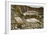 Hydraulic Mining-null-Framed Art Print