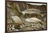 Hydraulic Mining-null-Framed Art Print