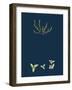 Hydrocotyle Vulgaris; Marsh Pennywort-null-Framed Giclee Print