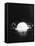 Hydrogen Bomb Test at Enewetak Atoll-null-Framed Stretched Canvas