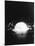 Hydrogen Bomb Test at Enewetak Atoll-null-Mounted Photographic Print