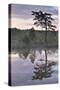 Hydrogen Sulphide Pond with Reflected Trees, at Dusk, Bog Forest, Kemeri Np, Latvia, June 2009-López-Stretched Canvas