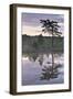 Hydrogen Sulphide Pond with Reflected Trees, at Dusk, Bog Forest, Kemeri Np, Latvia, June 2009-López-Framed Photographic Print