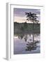 Hydrogen Sulphide Pond with Reflected Trees, at Dusk, Bog Forest, Kemeri Np, Latvia, June 2009-López-Framed Photographic Print