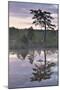 Hydrogen Sulphide Pond with Reflected Trees, at Dusk, Bog Forest, Kemeri Np, Latvia, June 2009-López-Mounted Photographic Print