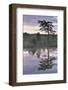 Hydrogen Sulphide Pond with Reflected Trees, at Dusk, Bog Forest, Kemeri Np, Latvia, June 2009-López-Framed Photographic Print