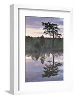 Hydrogen Sulphide Pond with Reflected Trees, at Dusk, Bog Forest, Kemeri Np, Latvia, June 2009-López-Framed Photographic Print