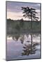 Hydrogen Sulphide Pond with Reflected Trees, at Dusk, Bog Forest, Kemeri Np, Latvia, June 2009-López-Mounted Photographic Print