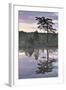 Hydrogen Sulphide Pond with Reflected Trees, at Dusk, Bog Forest, Kemeri Np, Latvia, June 2009-López-Framed Photographic Print