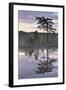 Hydrogen Sulphide Pond with Reflected Trees, at Dusk, Bog Forest, Kemeri Np, Latvia, June 2009-López-Framed Photographic Print