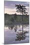 Hydrogen Sulphide Pond with Reflected Trees, at Dusk, Bog Forest, Kemeri Np, Latvia, June 2009-López-Mounted Photographic Print