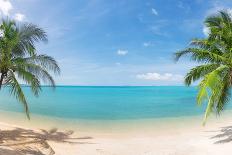 Panoramic Tropical Beach with Coconut Palm-Hydromet-Framed Photographic Print