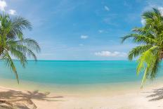 Panoramic Tropical Beach with Coconut Palm-Hydromet-Framed Photographic Print