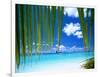 Hydroplane, Ari Atoll, White Sands Island-Angelo Cavalli-Framed Photographic Print