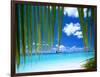 Hydroplane, Ari Atoll, White Sands Island-Angelo Cavalli-Framed Photographic Print