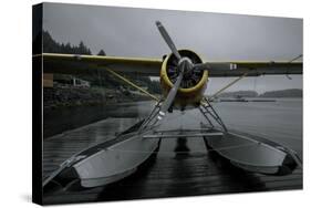 Hydroplane, Island of Kodiak, Alaska-Françoise Gaujour-Stretched Canvas