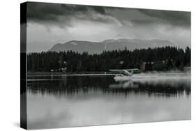 Hydroplane Taking Off in Homer Split, Homer, Alaska-Fran?oise Gaujour-Stretched Canvas