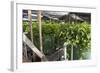 Hydroponic Waste Management System-Matthew Oldfield-Framed Premium Photographic Print