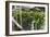 Hydroponic Waste Management System-Matthew Oldfield-Framed Photographic Print