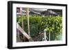 Hydroponic Waste Management System-Matthew Oldfield-Framed Photographic Print