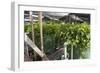 Hydroponic Waste Management System-Matthew Oldfield-Framed Photographic Print