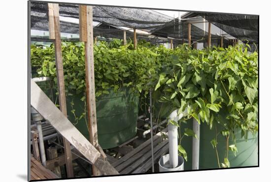 Hydroponic Waste Management System-Matthew Oldfield-Mounted Photographic Print